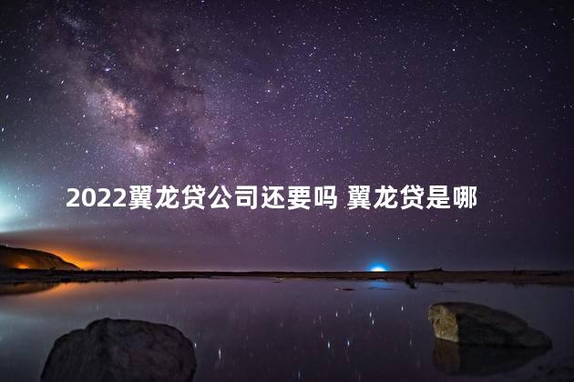 2022翼龙贷公司还要吗 翼龙贷是哪个银行的贷款